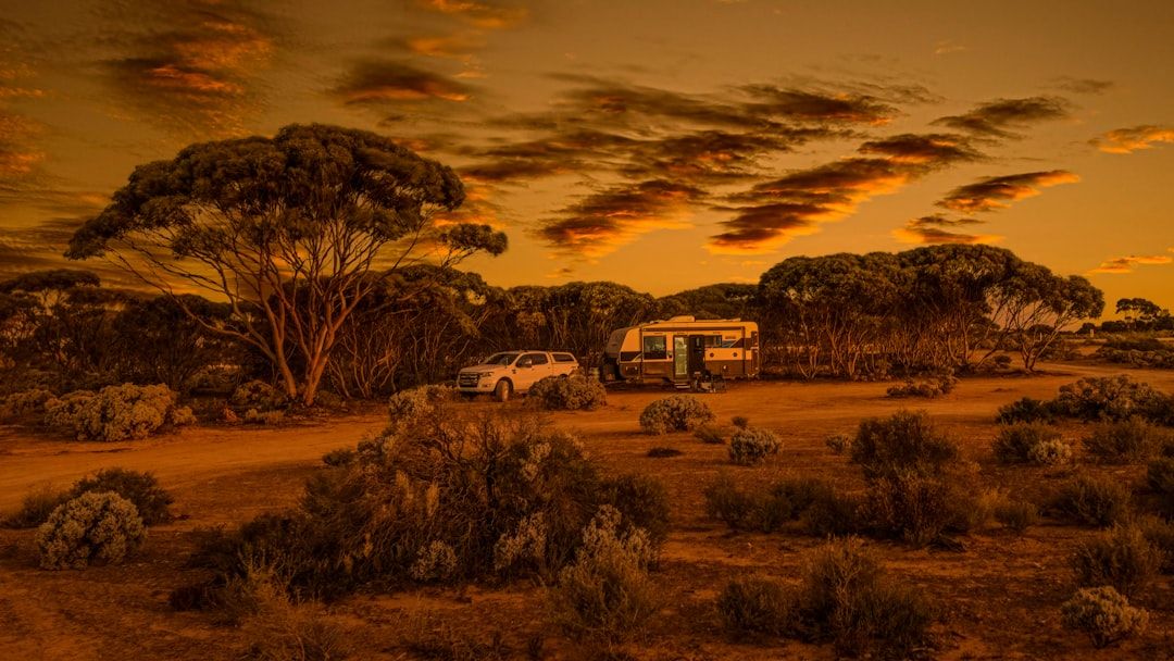 A white cargo van parked on a scenic Australian coastal road at sunrise, ready for a road trip adventure.