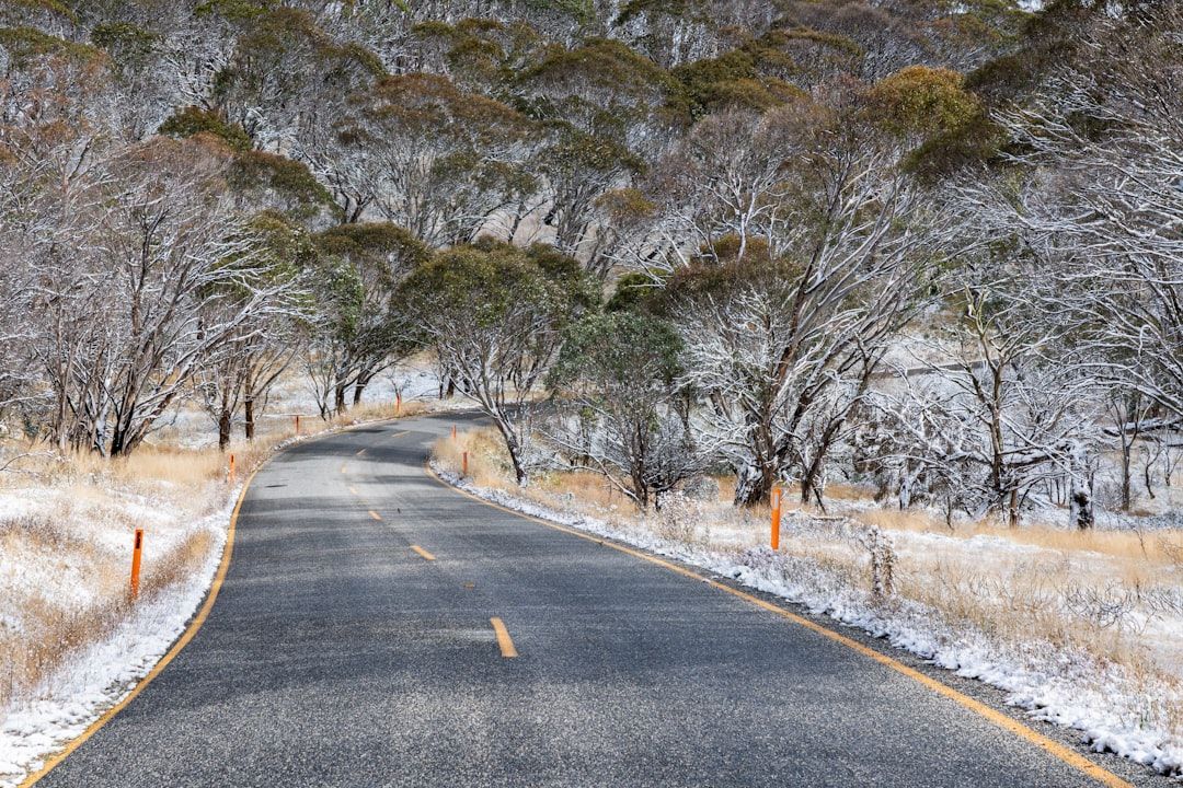 White SUV rental car driving on a damp, winding country road through lush Yarra Valley scenery in winter.